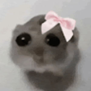 Meet your Posher, Kyrie